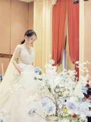 -艾米丽婚纱礼服