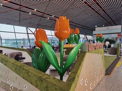 -首都机场T3航站楼商务CIP贵宾厅