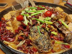 -老板恋上鱼(振华商厦店)