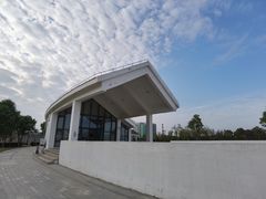 -鹦鹉洲湿地公园