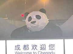 -胖娃滋补蹄花