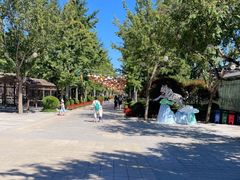 -南宫五洲植物乐园