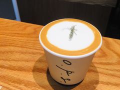Orange&nbsp;Pillow-O.P.S. CAFE