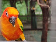 -常州淹城野生动物世界