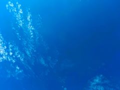 -青岛第一海水浴场