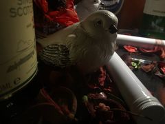 -Bar The Vortex(高新万达店)