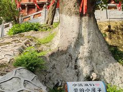 -宝通禅寺