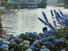 -荔湾湖公园