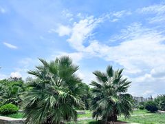 -花果园湿地公园