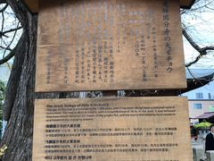 -医王山·飞騨国分寺
