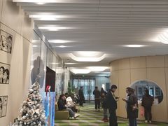 -黑马眼科·近视手术