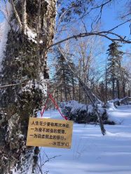 -大秃顶子山