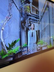 -上海时光整形外科医院