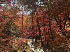 -本溪老边沟风景区