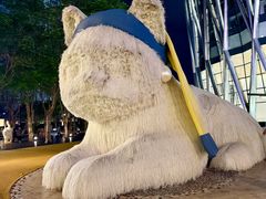 -深圳湾万象城(南山店)