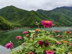 -浙江西子宾馆·瑶园咖啡厅