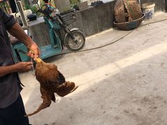 -美家乐农庄·露营·团建(大治路店)