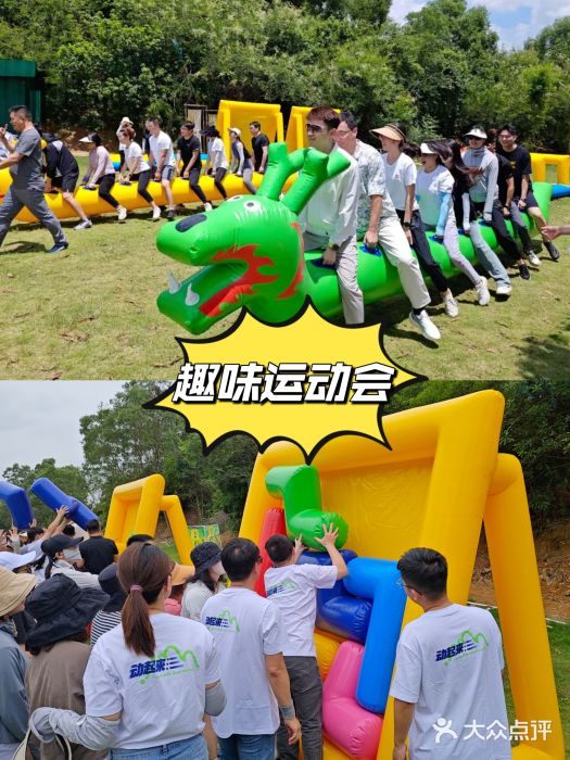 松山湖南湖湾露营营地图片