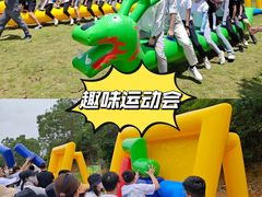 -松山湖南湖湾露营营地