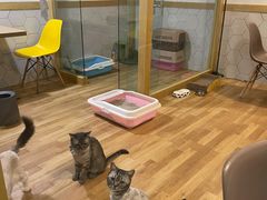 -有何Book(六堰体育馆店)