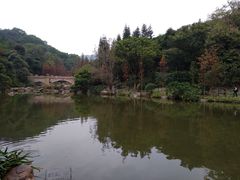 -云溪植物园