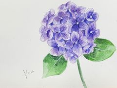 -鼎画艺术机构(贵都店)