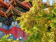 -东华门大街小区