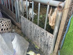 -小鱼草莓采摘园农家乐·小鱼餐厅