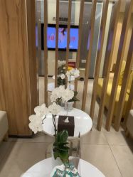 -Yestar宁波艺星整形医院