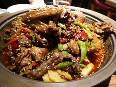 -猫头婴小酒馆FUN OWL(1912店)