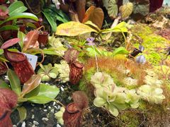 -北京植物园-展览温室