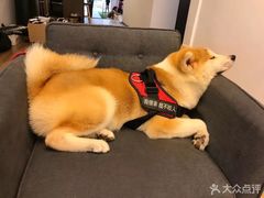 -YCHL Studios健身工作室(市二宫店)