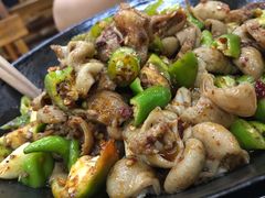 特色干锅肥肠-张氏父子常德肠子馆(红星总店)