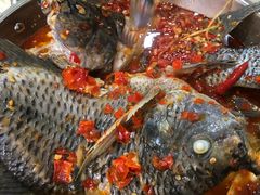 -风鑫铃罗非鱼(道沟店)