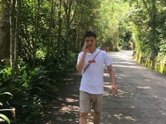 -西双版纳原始森林公园