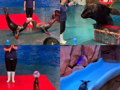 -烟台海昌鲸鲨海洋公园