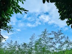 -腾冲北海湿地