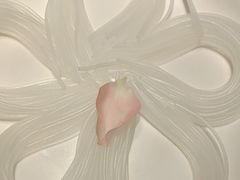 -江小渔鲜鱼火锅(西二道街店)