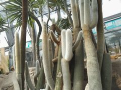 -北京植物园-展览温室