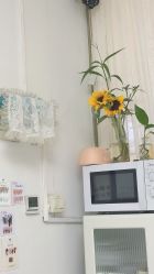 -UN·桃喜日系美睫美甲