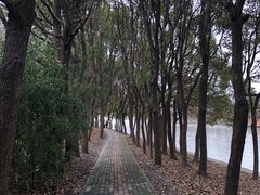 -广富林郊野公园