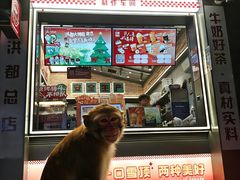 -洪都大拇指(洪都店)