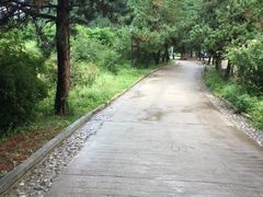 -官滩沟风景区