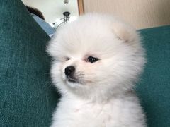-东记炭炉·海鲜鸡煲(龙华店)