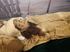 -北京大学赛克勒考古与艺术博物馆