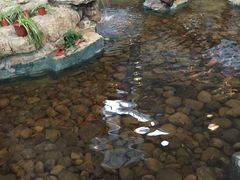 -森谷美食公园(杨行店)