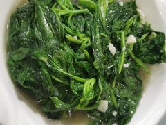 清炒油菜-来韶饭店