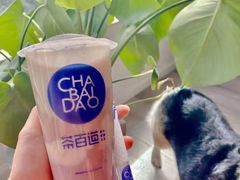 -茶百道(湖墅潮王路店)