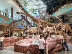 -安徽省地质博物馆