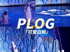 -珠海长隆海洋王国